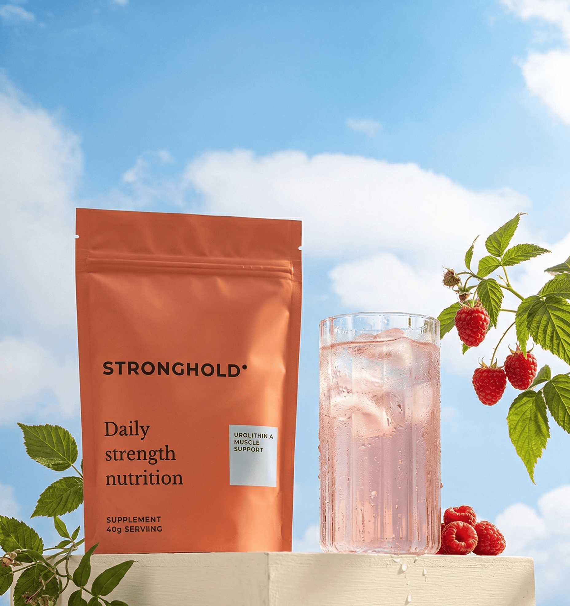 Stronghold Daily Strength Nutrition